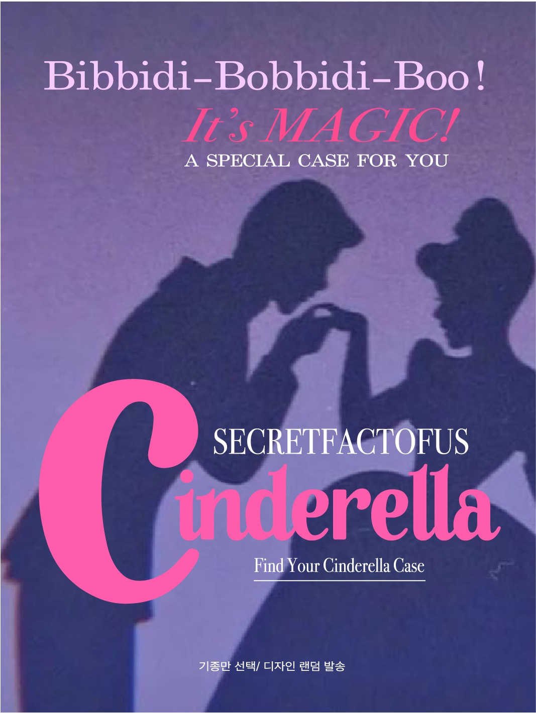 Find your Cinderella Case